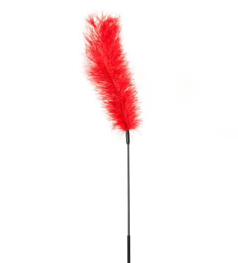 Ostrich Tickler, Red