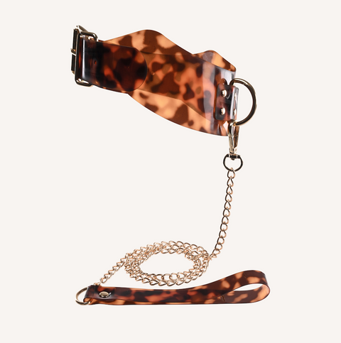 Amber Collar & Leash