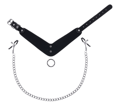 Velvet Noir Collar & Removable Clamps