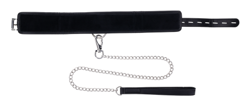Edge Collar & Leash