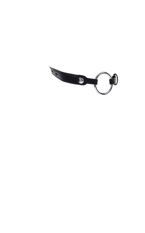 Edge Interchangeable Ring Gag