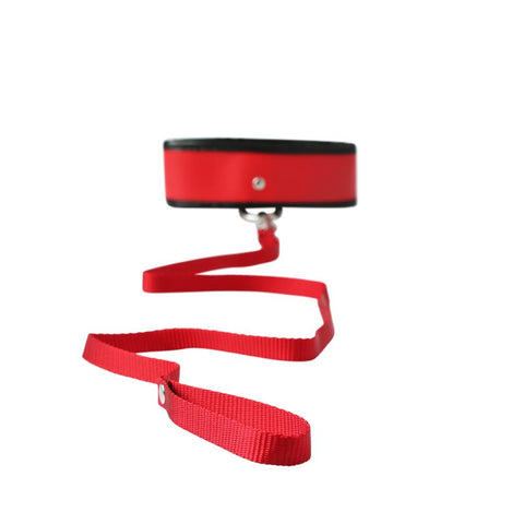 Red Collar & Leash