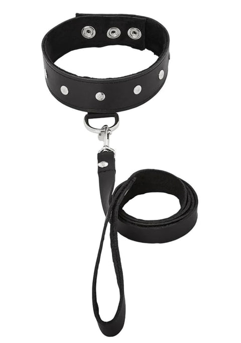 Leather Collar & Leash