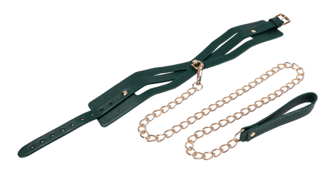 Indica Cutout Collar and Leash