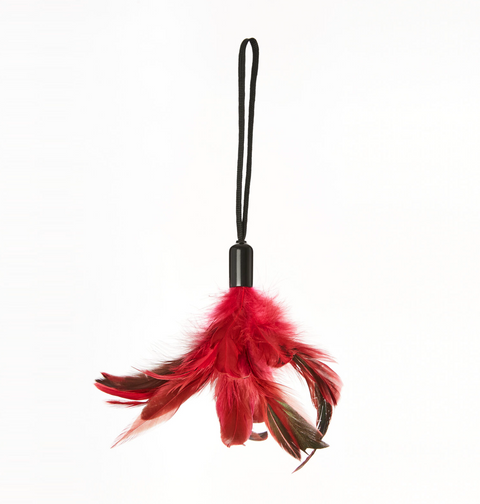 Rose Pleasure Feather
