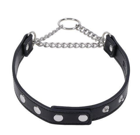 Shadow Day Collar